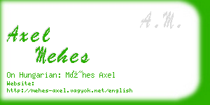 axel mehes business card